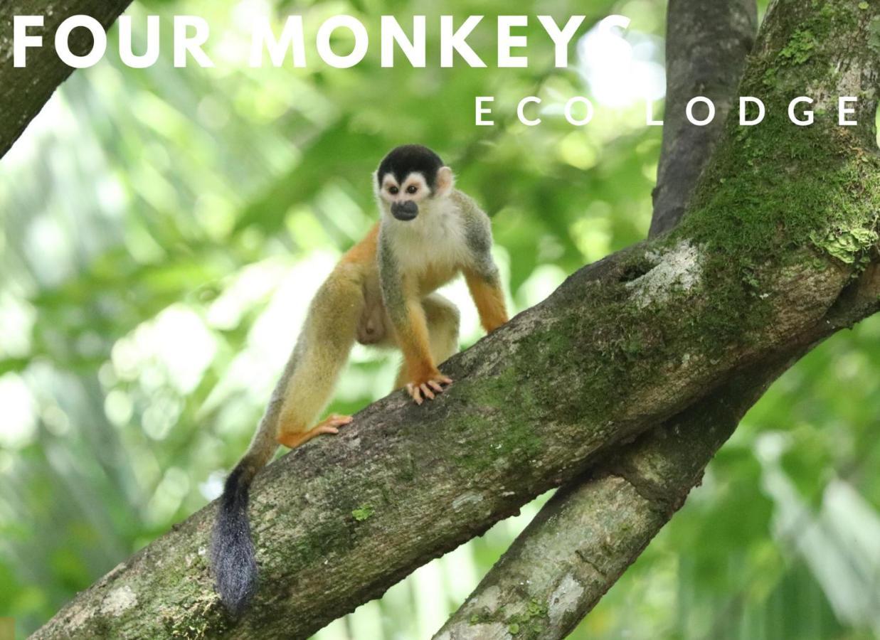 Four Monkeys Eco Lodge - Jungle & Beach Cabo Matapalo Exterior foto