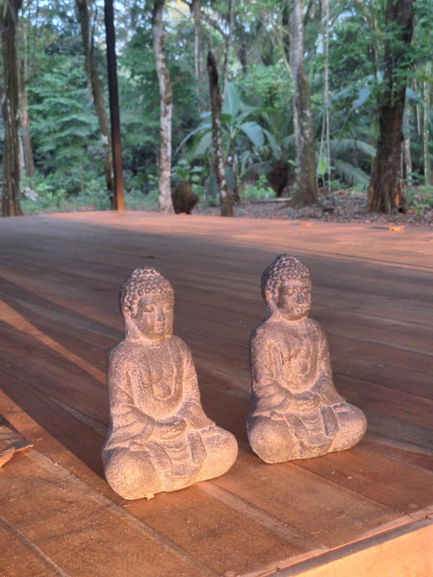 Four Monkeys Eco Lodge - Jungle & Beach Cabo Matapalo Exterior foto